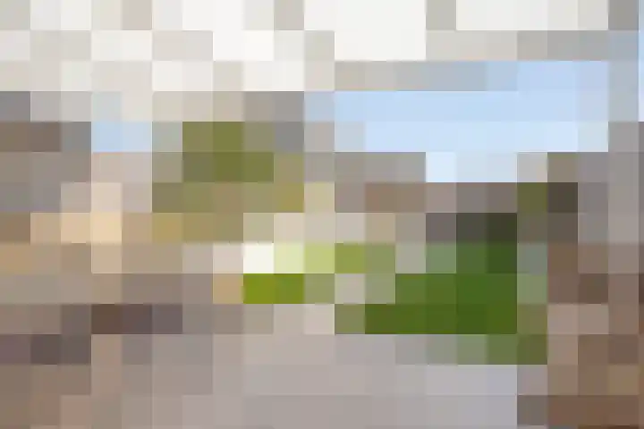 Daalderhof 3 Valkenswaard thumbnail 26
