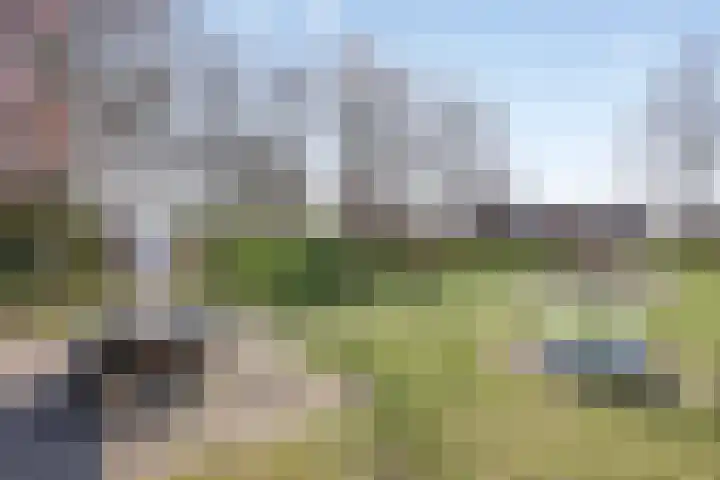 Daalderhof 3 Valkenswaard thumbnail 30