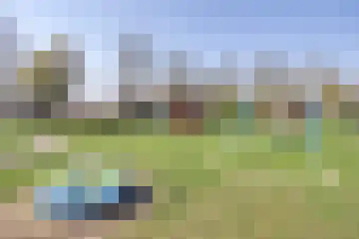 Daalderhof 3 Valkenswaard thumbnail 31