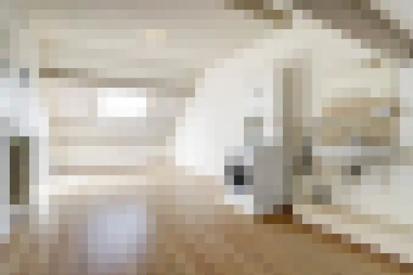 Daalderhof 9 Valkenswaard thumbnail 24