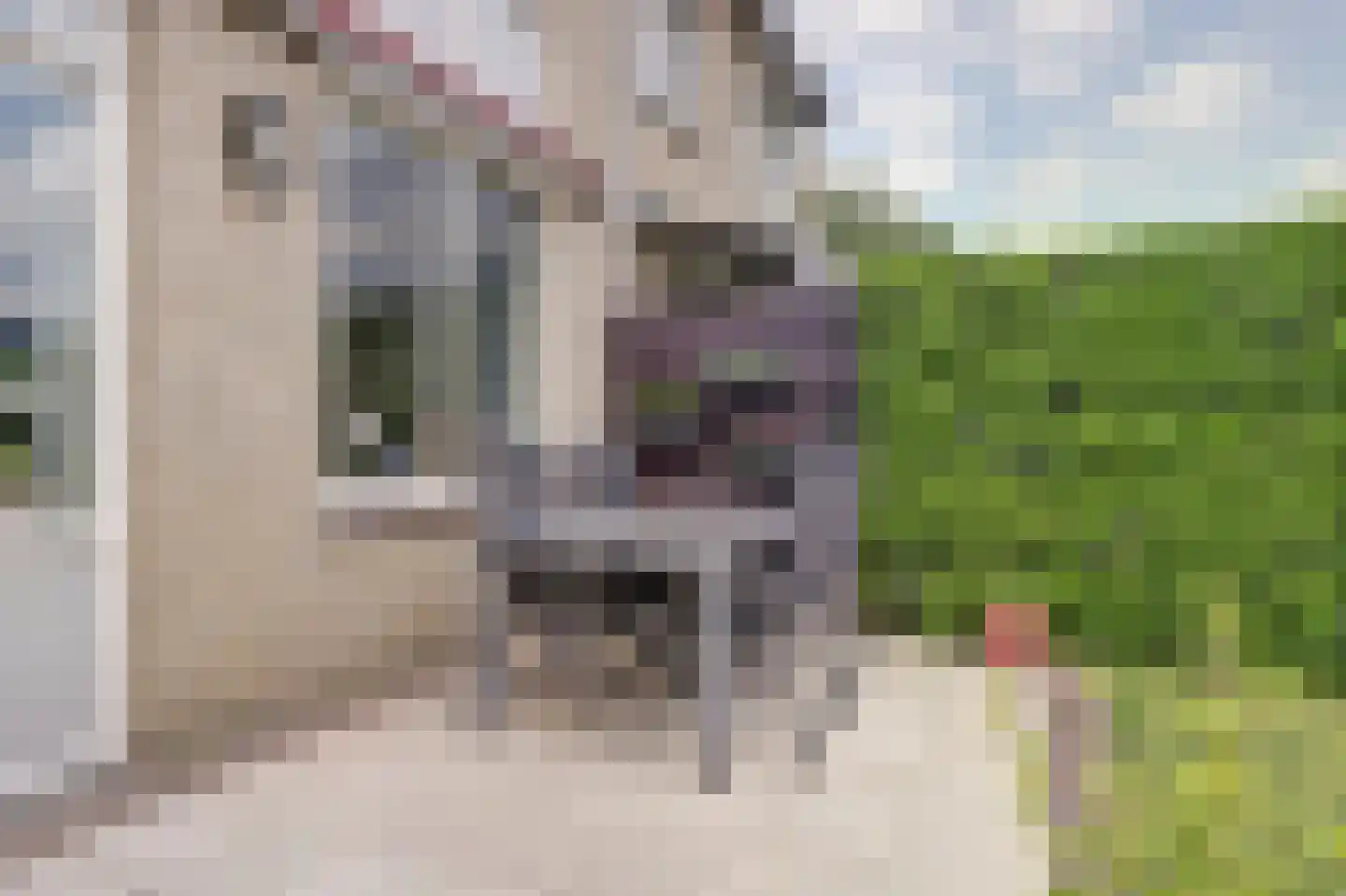 Daalderhof 9 Valkenswaard thumbnail 28