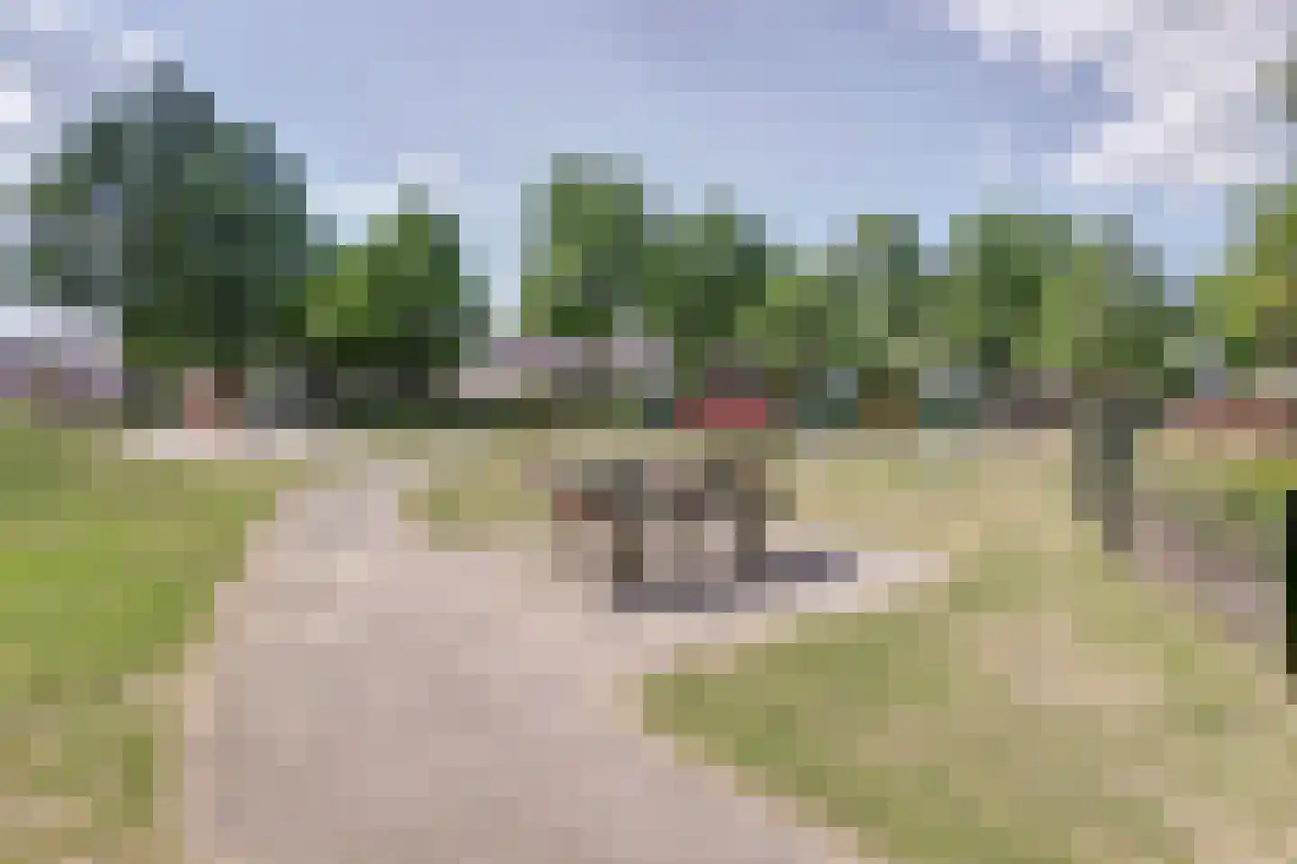 Daalderhof 9 Valkenswaard thumbnail 36
