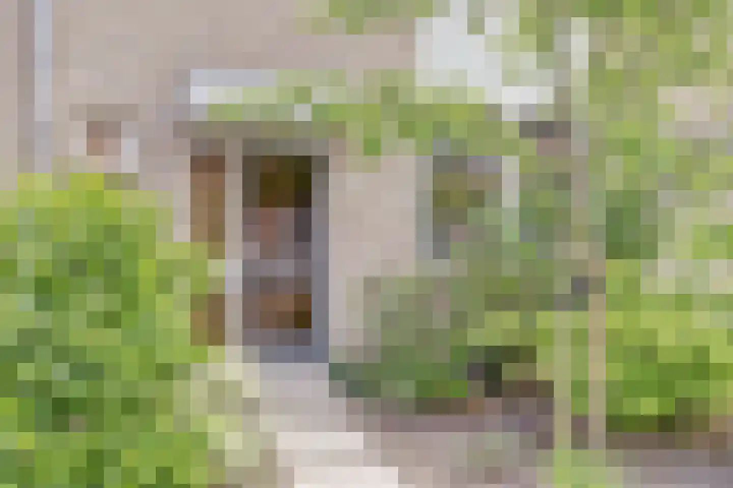 Daalderhof 9 Valkenswaard thumbnail 5