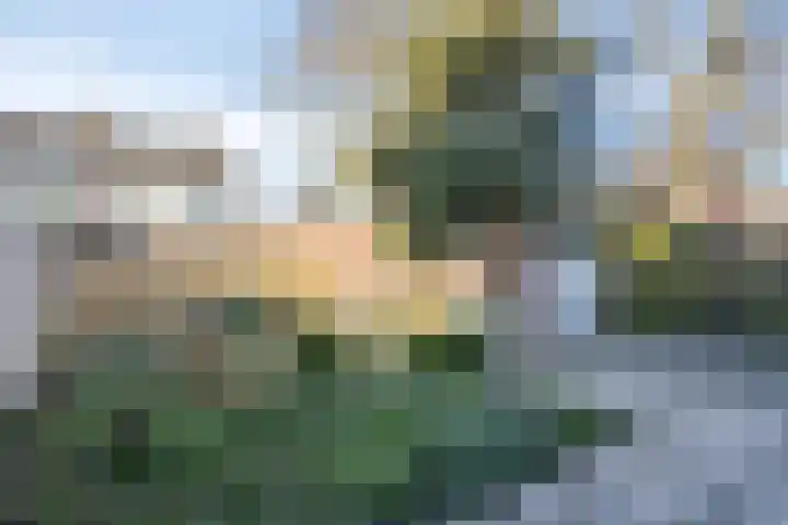 Daaldersruwe 64 Maastricht thumbnail 18