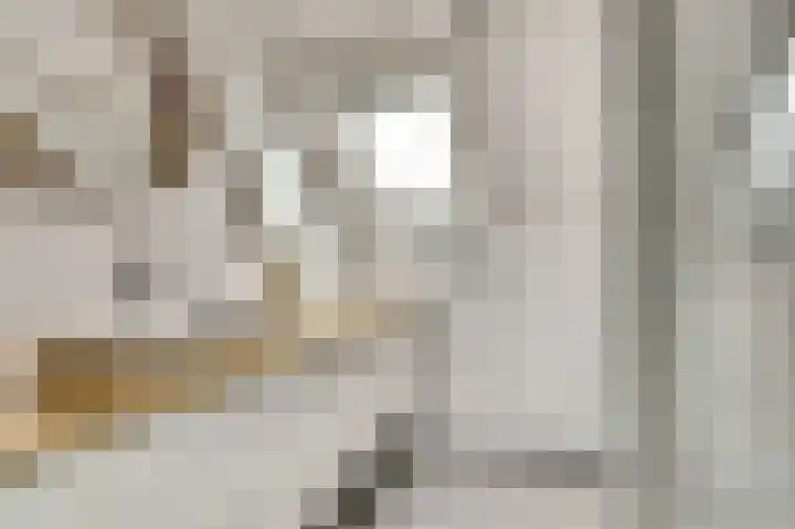 Daalderstraat 12 Woudrichem thumbnail 26