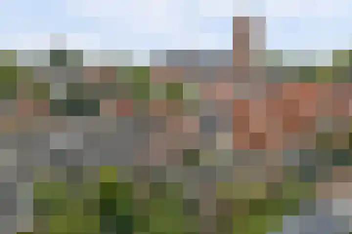 Daalderstraat 12 Woudrichem thumbnail 41