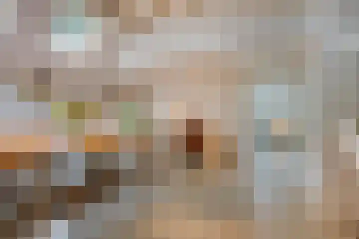Daalderstraatje 3 Huisseling thumbnail 14