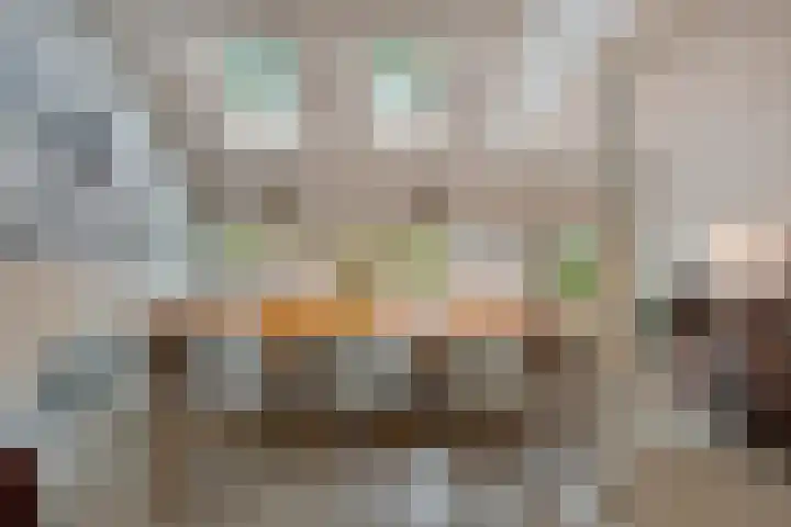 Daalderstraatje 3 Huisseling thumbnail 15