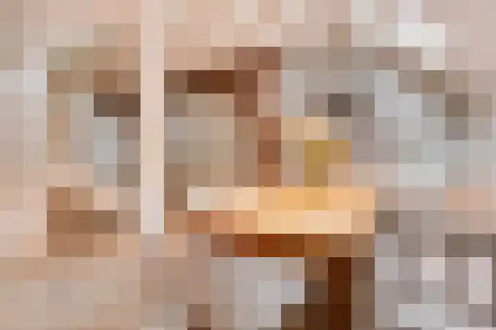 Daalderstraatje 3 Huisseling thumbnail 17