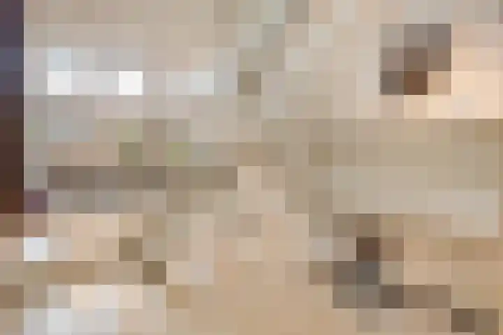 Daalderstraatje 3 Huisseling thumbnail 18