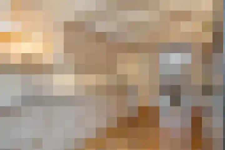 Daalderstraatje 3 Huisseling thumbnail 21