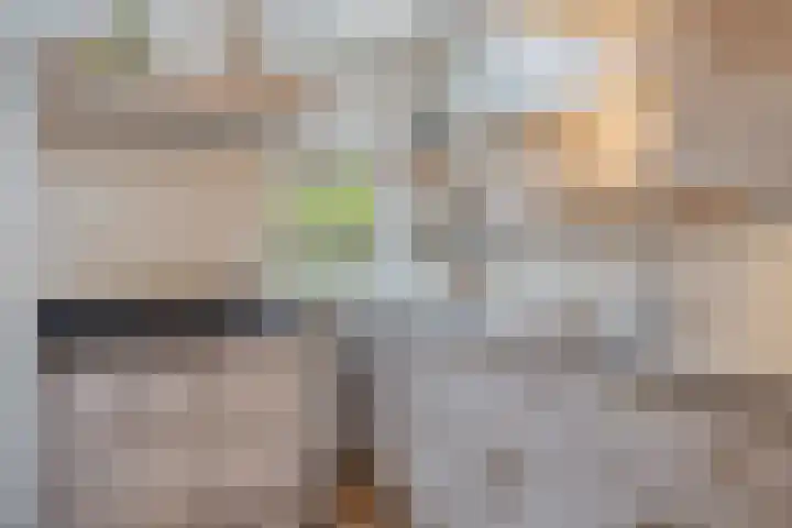 Daalderstraatje 3 Huisseling thumbnail 22