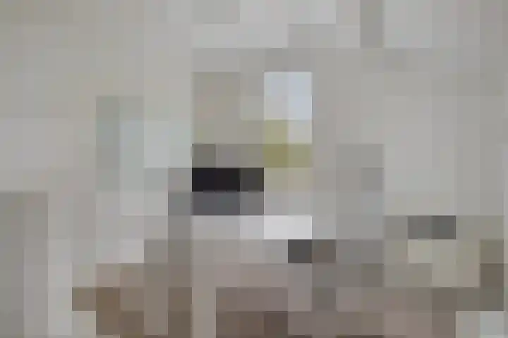 Daalderstraatje 3 Huisseling thumbnail 23