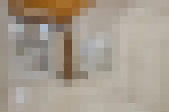 Daalderstraatje 3 Huisseling thumbnail 26