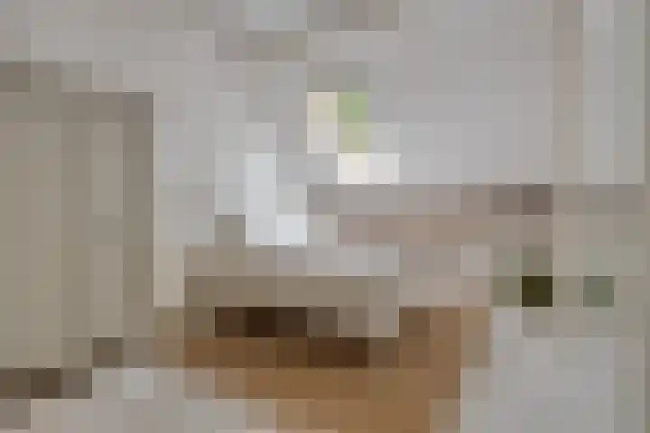 Daalderstraatje 3 Huisseling thumbnail 30