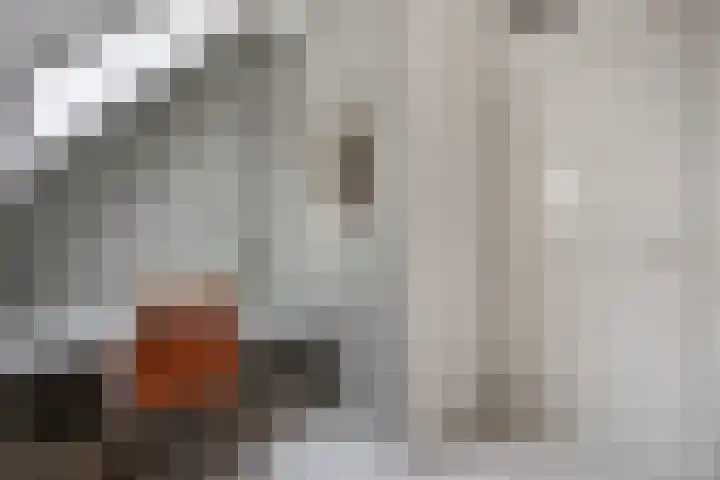 Daalderstraatje 3 Huisseling thumbnail 34