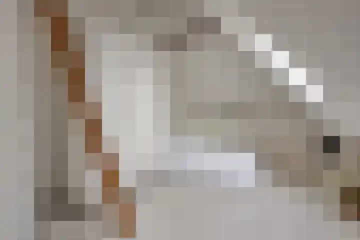 Daalderstraatje 3 Huisseling thumbnail 38