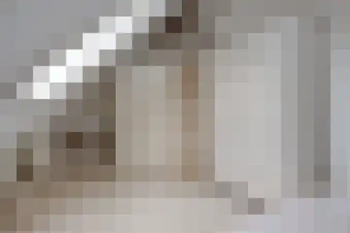 Daalderstraatje 3 Huisseling thumbnail 39