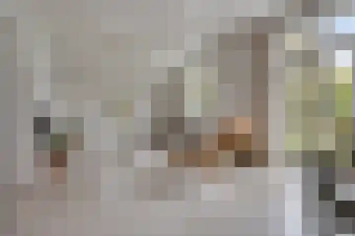 Daalderstraatje 3 Huisseling thumbnail 4