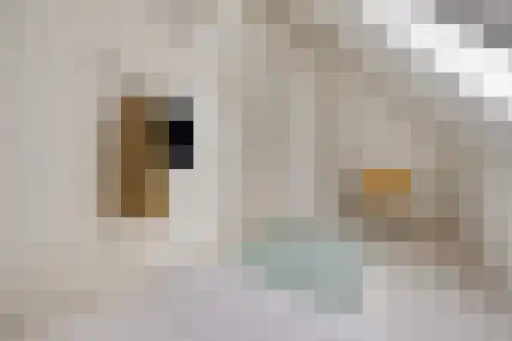 Daalderstraatje 3 Huisseling thumbnail 41
