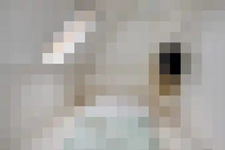 Daalderstraatje 3 Huisseling thumbnail 42