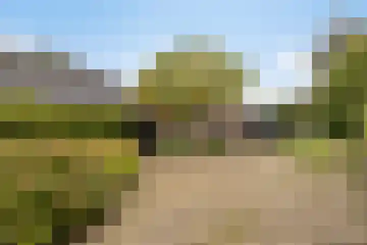 Daalderstraatje 3 Huisseling thumbnail 44