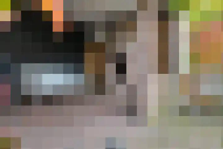 Daalderstraatje 3 Huisseling thumbnail 46