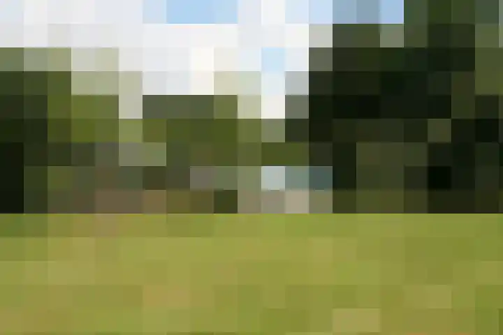 Daalderstraatje 3 Huisseling thumbnail 47