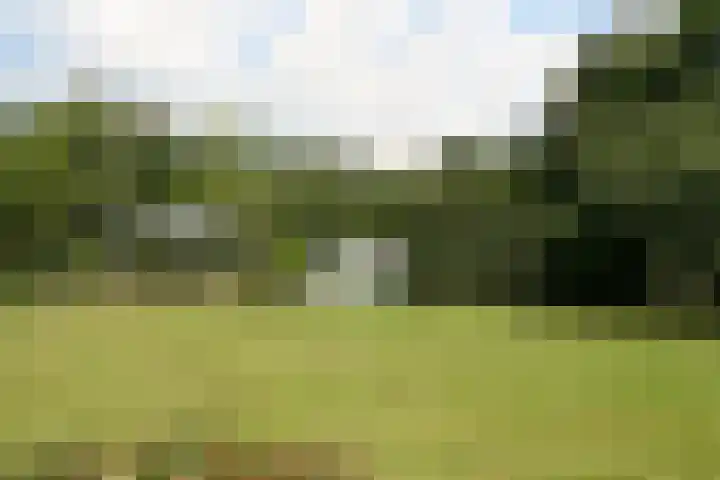 Daalderstraatje 3 Huisseling thumbnail 48