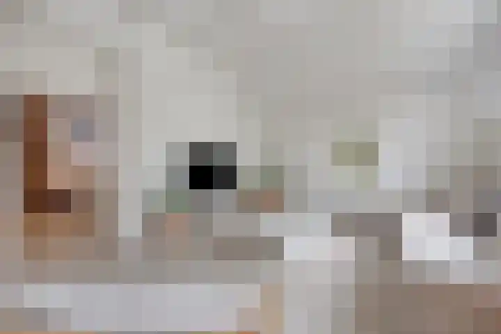 Daalderstraatje 3 Huisseling thumbnail 5