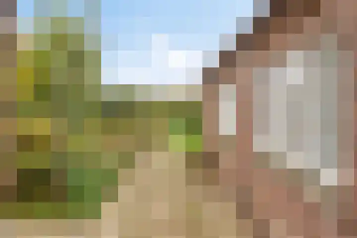 Daalderstraatje 3 Huisseling thumbnail 54