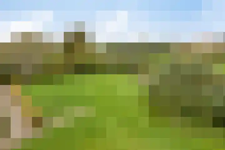 Daalderstraatje 3 Huisseling thumbnail 55
