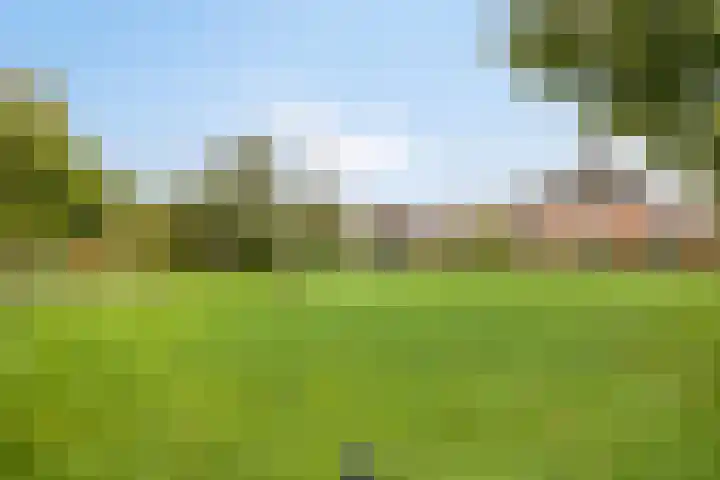 Daalderstraatje 3 Huisseling thumbnail 56
