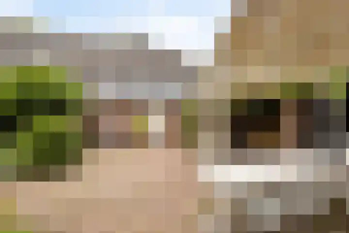 Daalderstraatje 3 Huisseling thumbnail 57