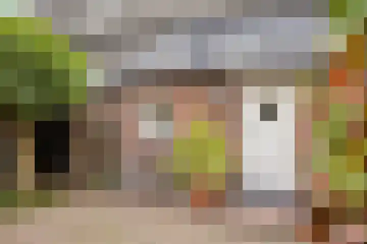Daalderstraatje 3 Huisseling thumbnail 58