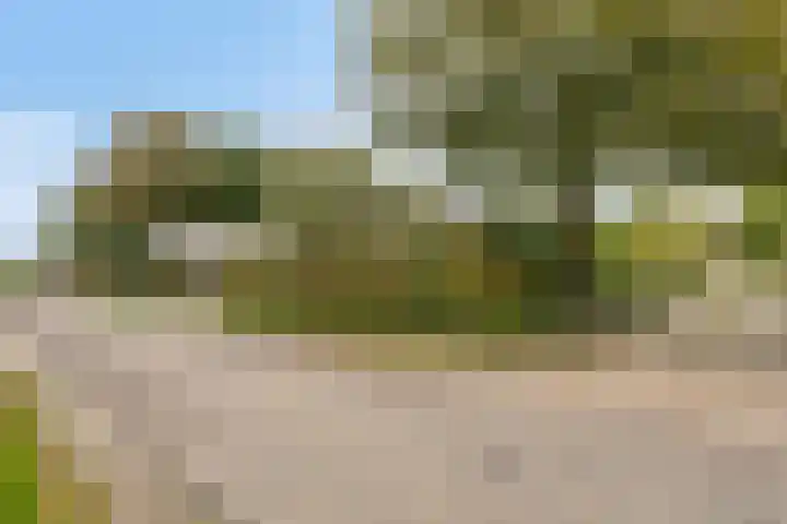 Daalderstraatje 3 Huisseling thumbnail 59