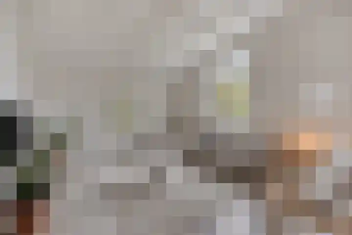 Daalderstraatje 3 Huisseling thumbnail 6