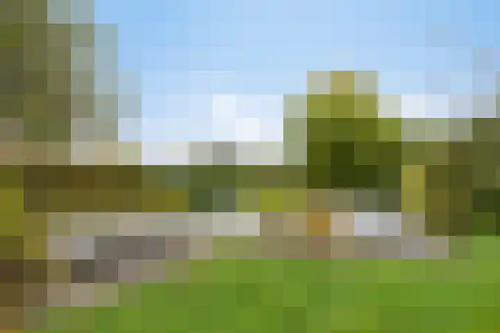 Daalderstraatje 3 Huisseling thumbnail 60