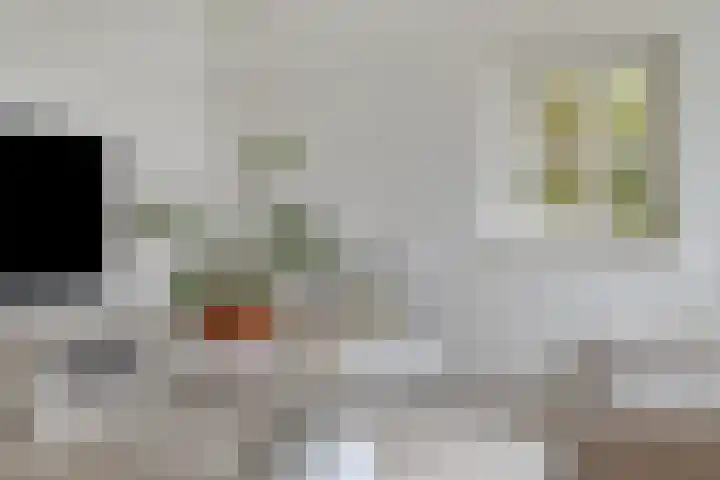 Daalderstraatje 3 Huisseling thumbnail 8