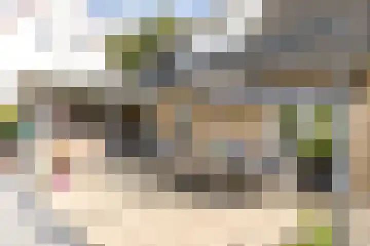 Daalhemerweg 132 Valkenburg thumbnail 25