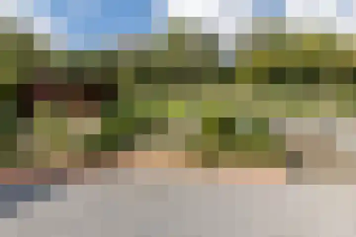 Daalhemerweg 132 Valkenburg thumbnail 26