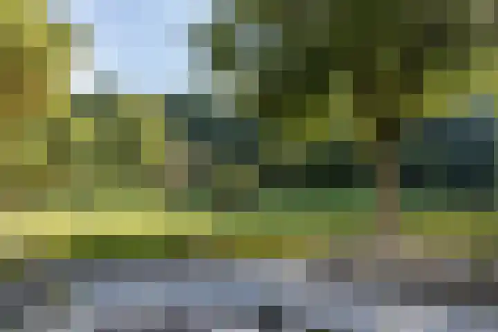 Daalhemerweg 132 Valkenburg thumbnail 28