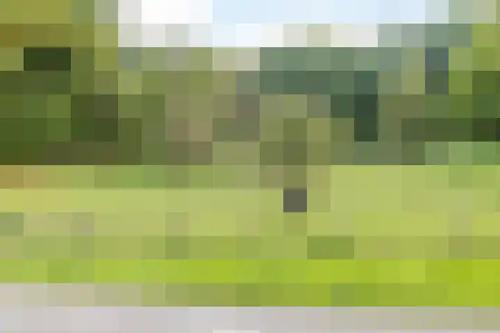 Daalhemerweg 132 Valkenburg thumbnail 32