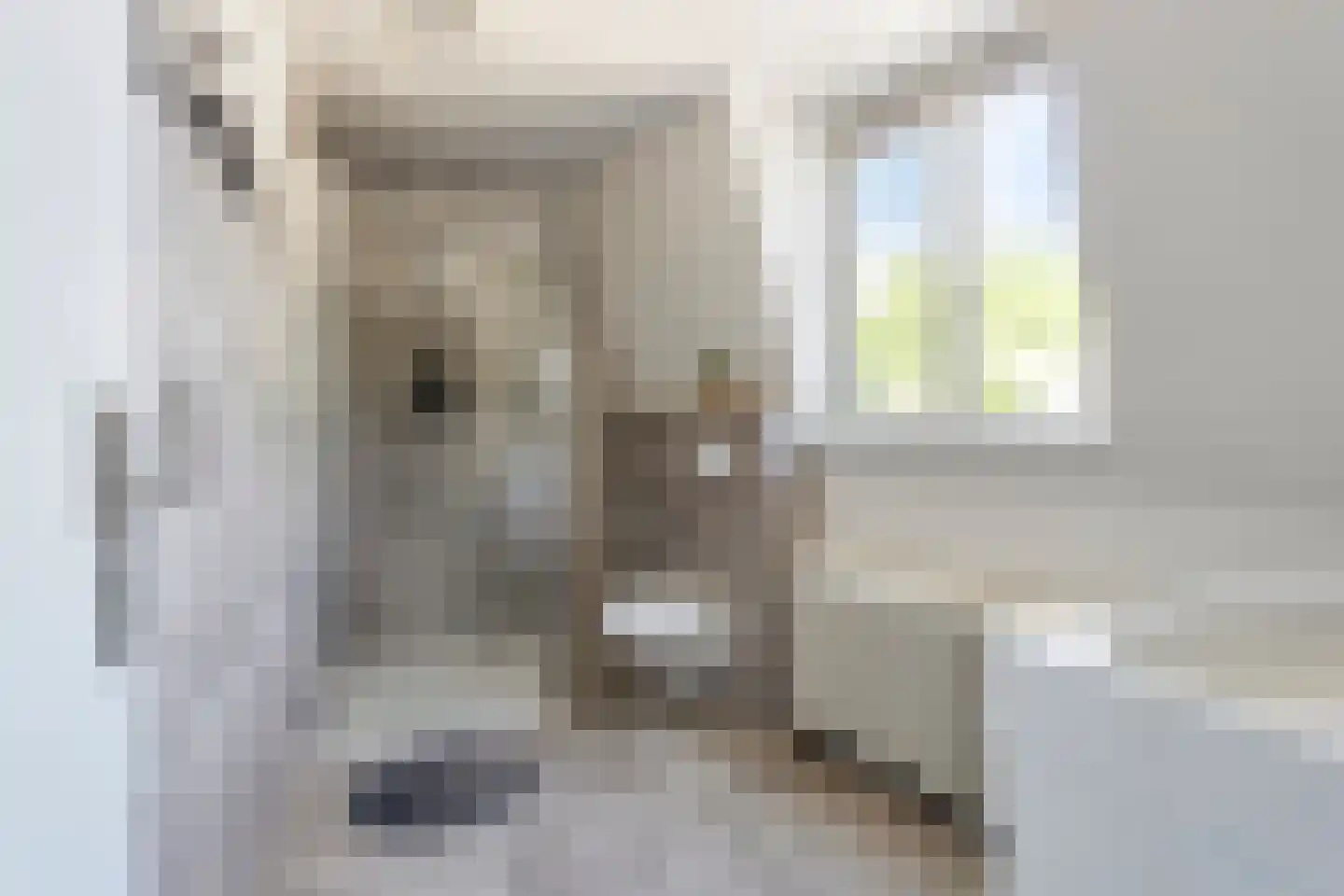 Daalhemerweg 30 Valkenburg thumbnail 22