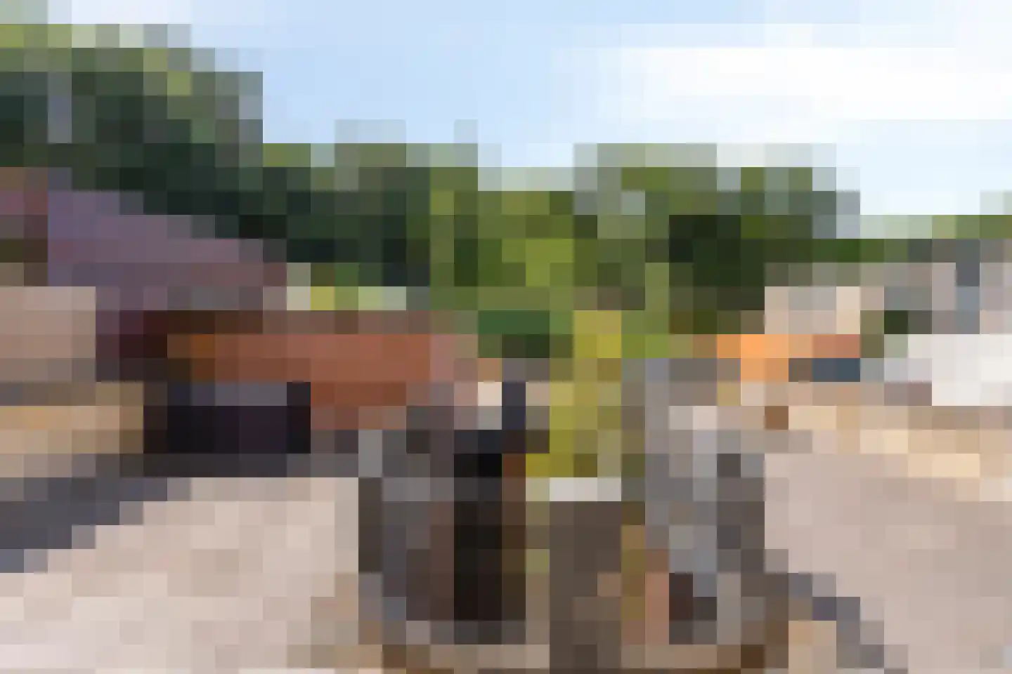 Daalhemerweg 30 Valkenburg thumbnail 26