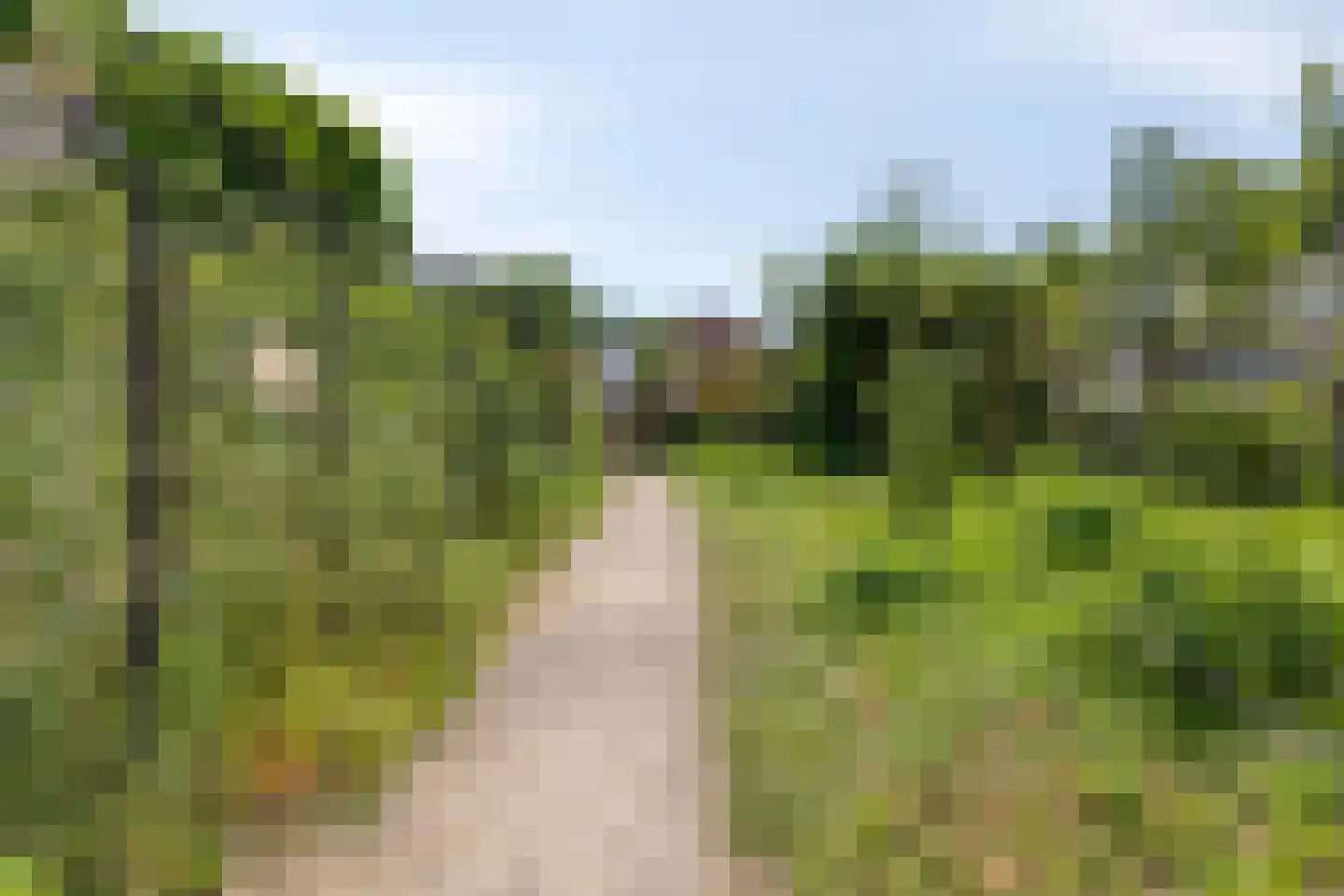 Daalhemerweg 30 Valkenburg thumbnail 28