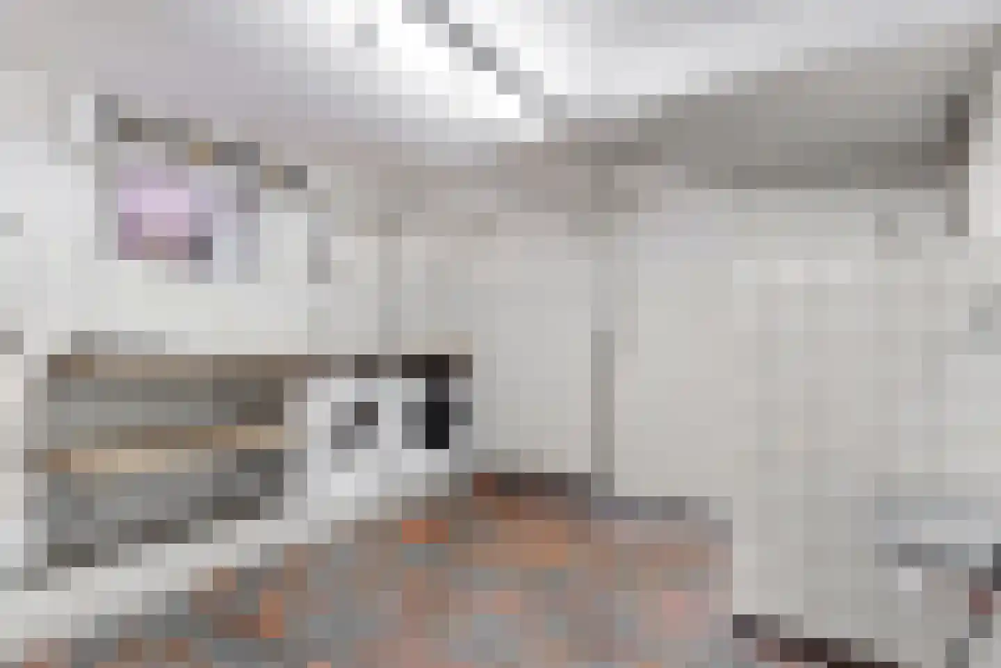 Daalhemerweg 40 Valkenburg thumbnail 22