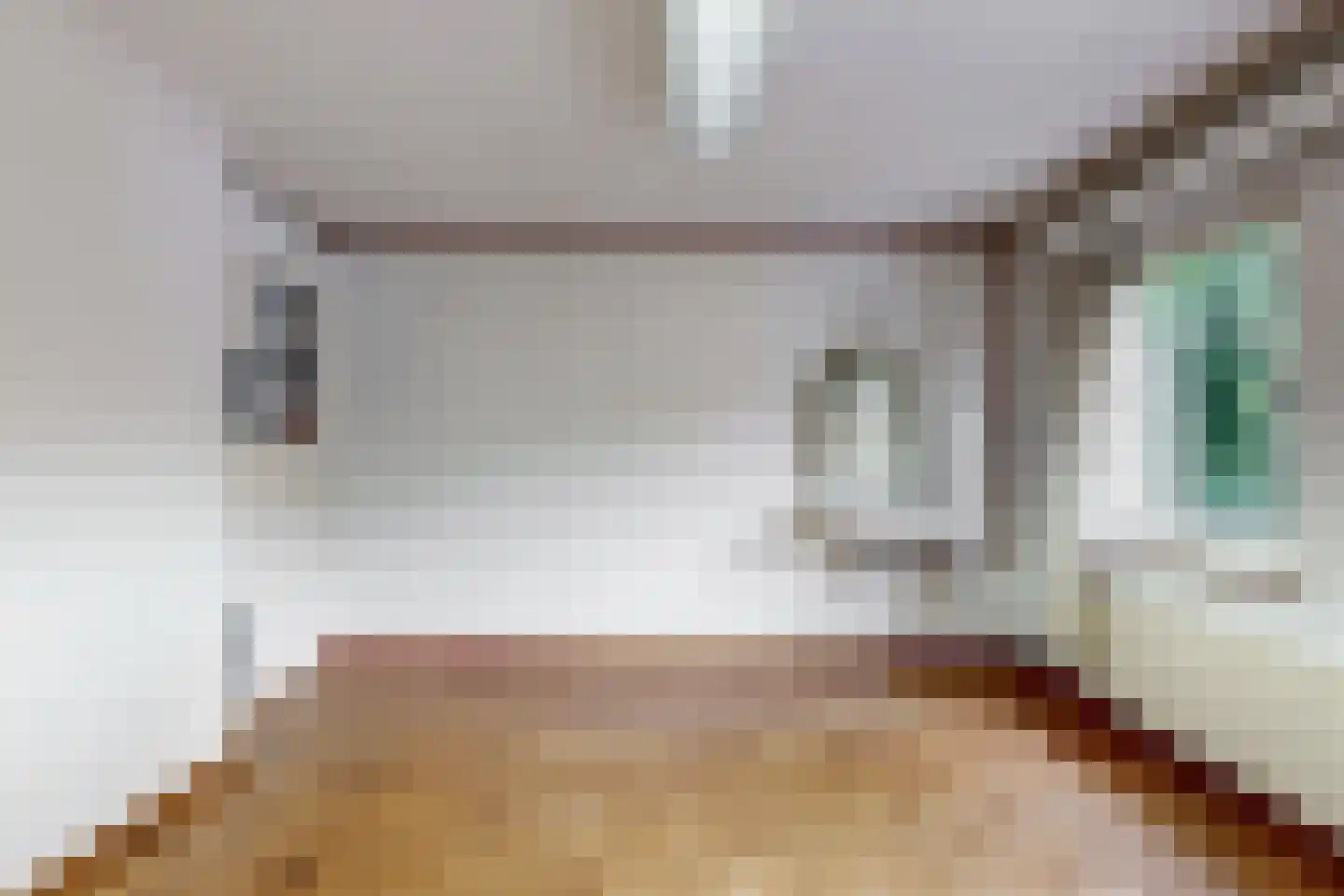 Daalhemerweg 40 Valkenburg thumbnail 37