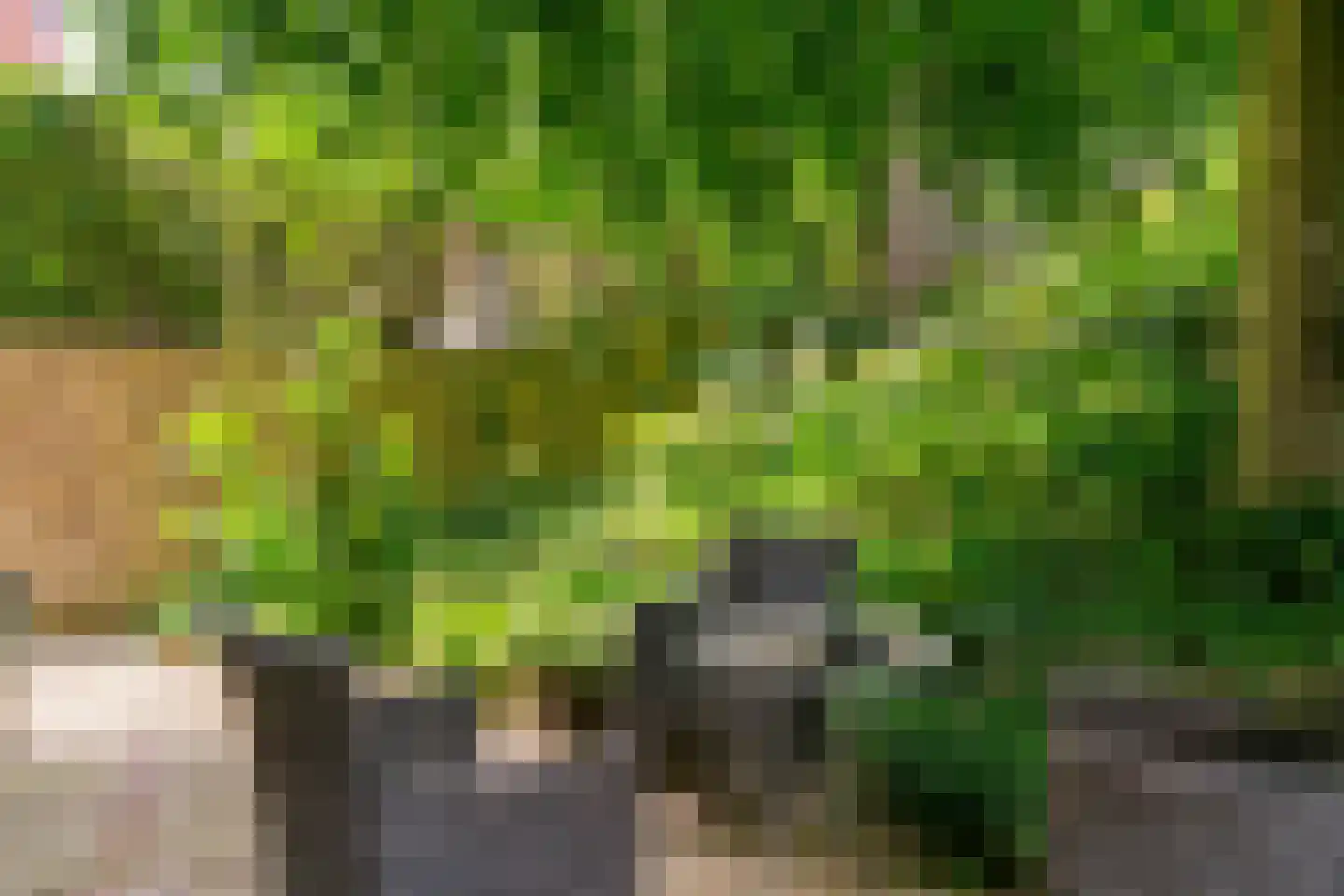 Daalhemerweg 40 Valkenburg thumbnail 49
