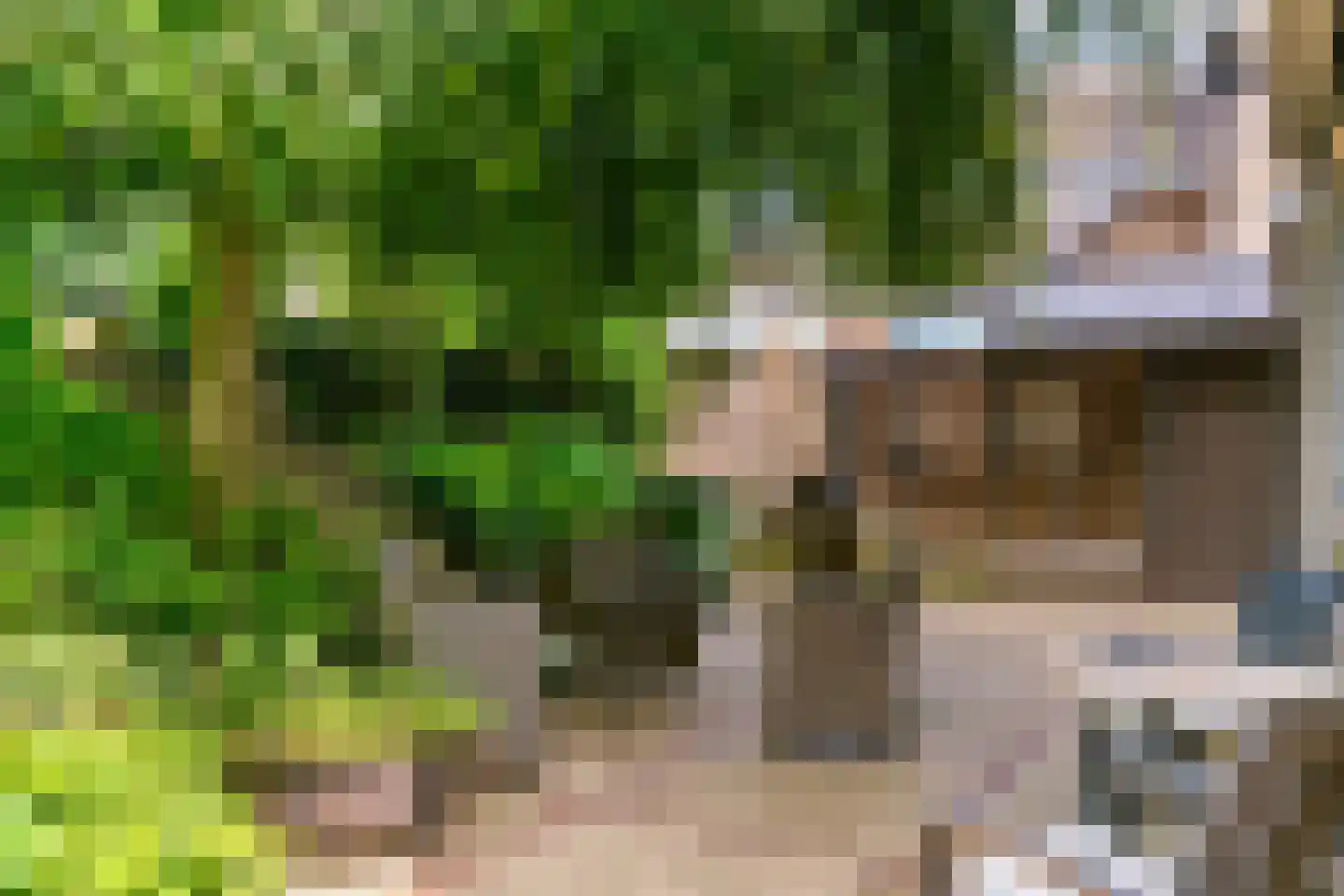 Daalhemerweg 40 Valkenburg thumbnail 51